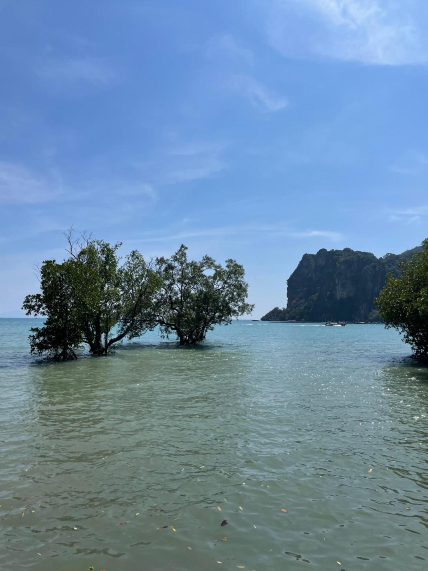 Social Quarters Blanco - Youth Hostel 18 To 35 Only Pantai Railay Luaran gambar