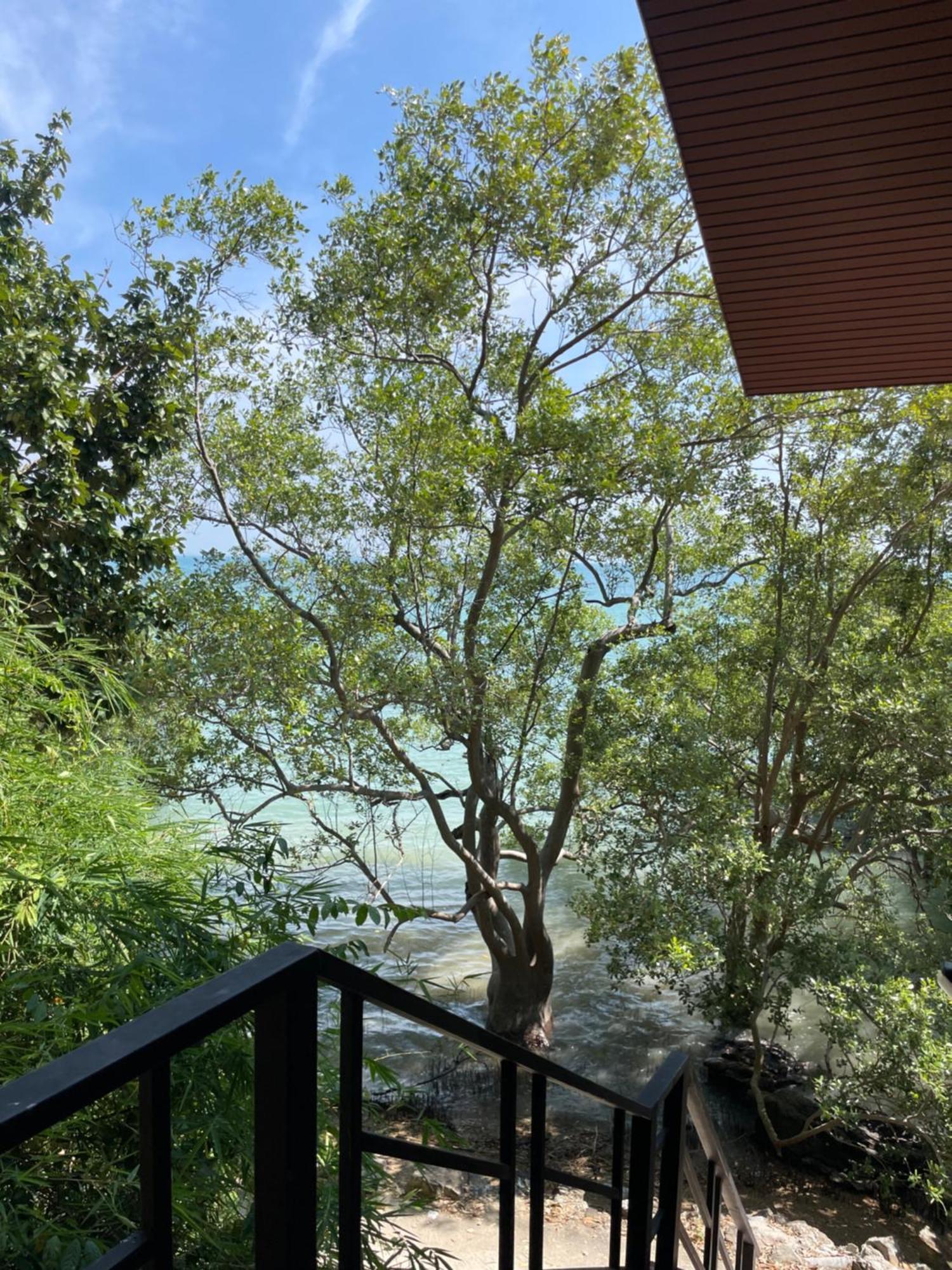 Social Quarters Blanco - Youth Hostel 18 To 35 Only Pantai Railay Luaran gambar